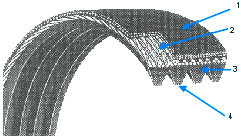 A cutaway of a multi rib poly belt, its ribbed underside and cord layers numbered one to four. A cutaway of a multi rib poly belt, its ribbed underside and cord layers numbered one to four.