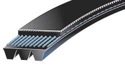 A V ribbed micro belt seen end on, the fine ribs running the length of its underside. A V ribbed micro belt seen end on, the fine ribs running the length of its underside.