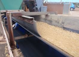 A skirtboard holding the load on a conveyor carrying grain, with the plant yard behind it.