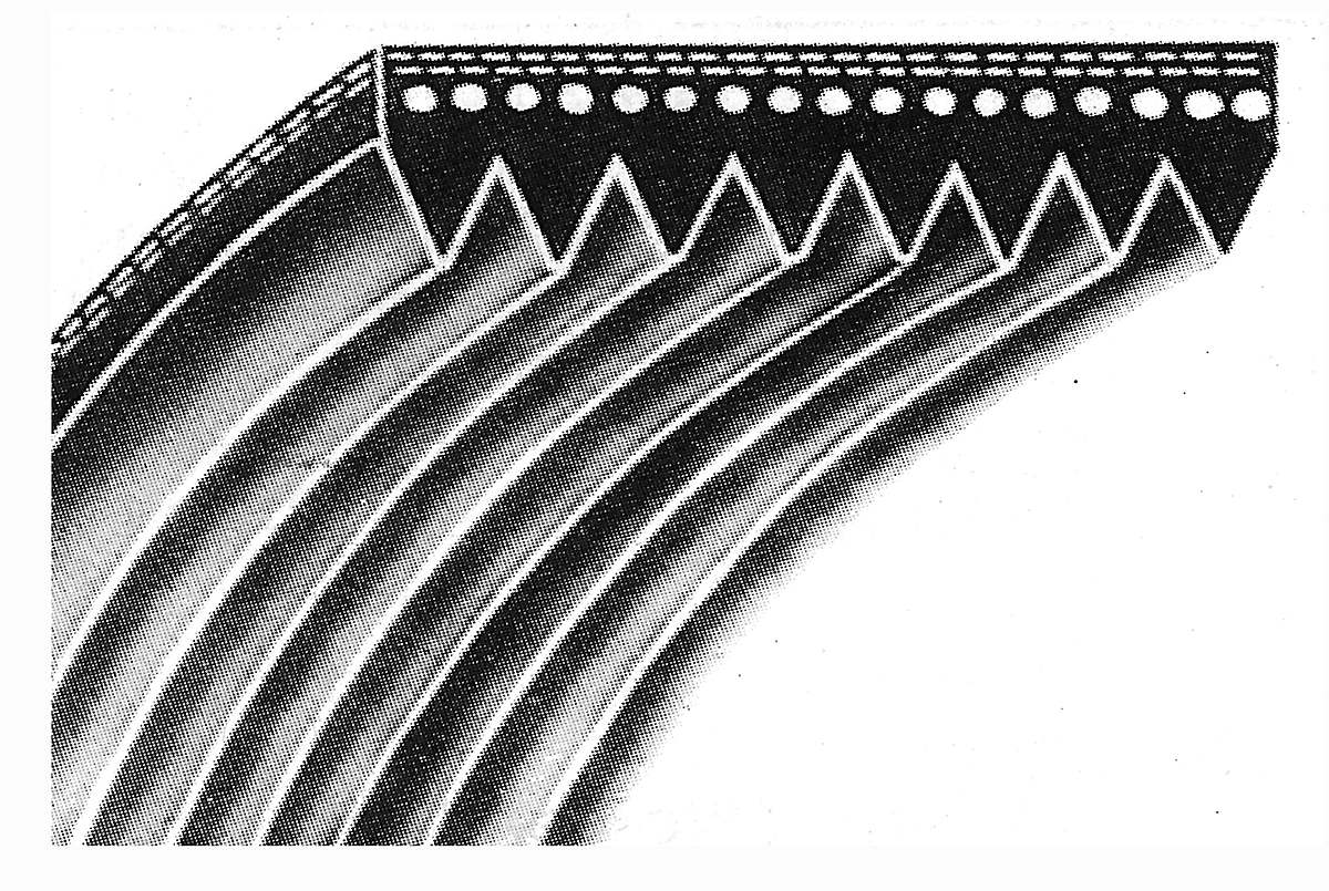 V ribbed belts drawn end on, the fine ribs running along the inner face of each.