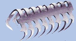 A strip of P14 wire hook lacing, its row of curved steel hooks standing in line. A strip of P14 wire hook lacing, its row of curved steel hooks standing in line.